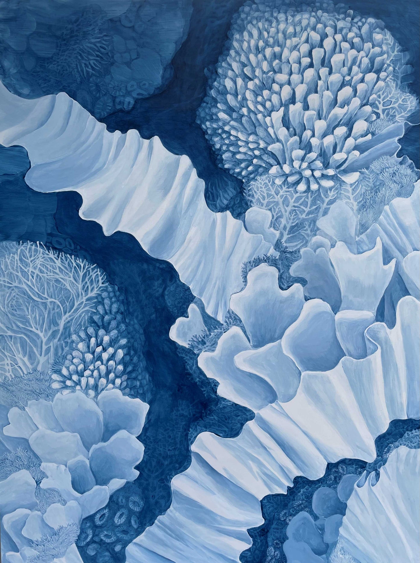 Fine Art Print, A World Underwater